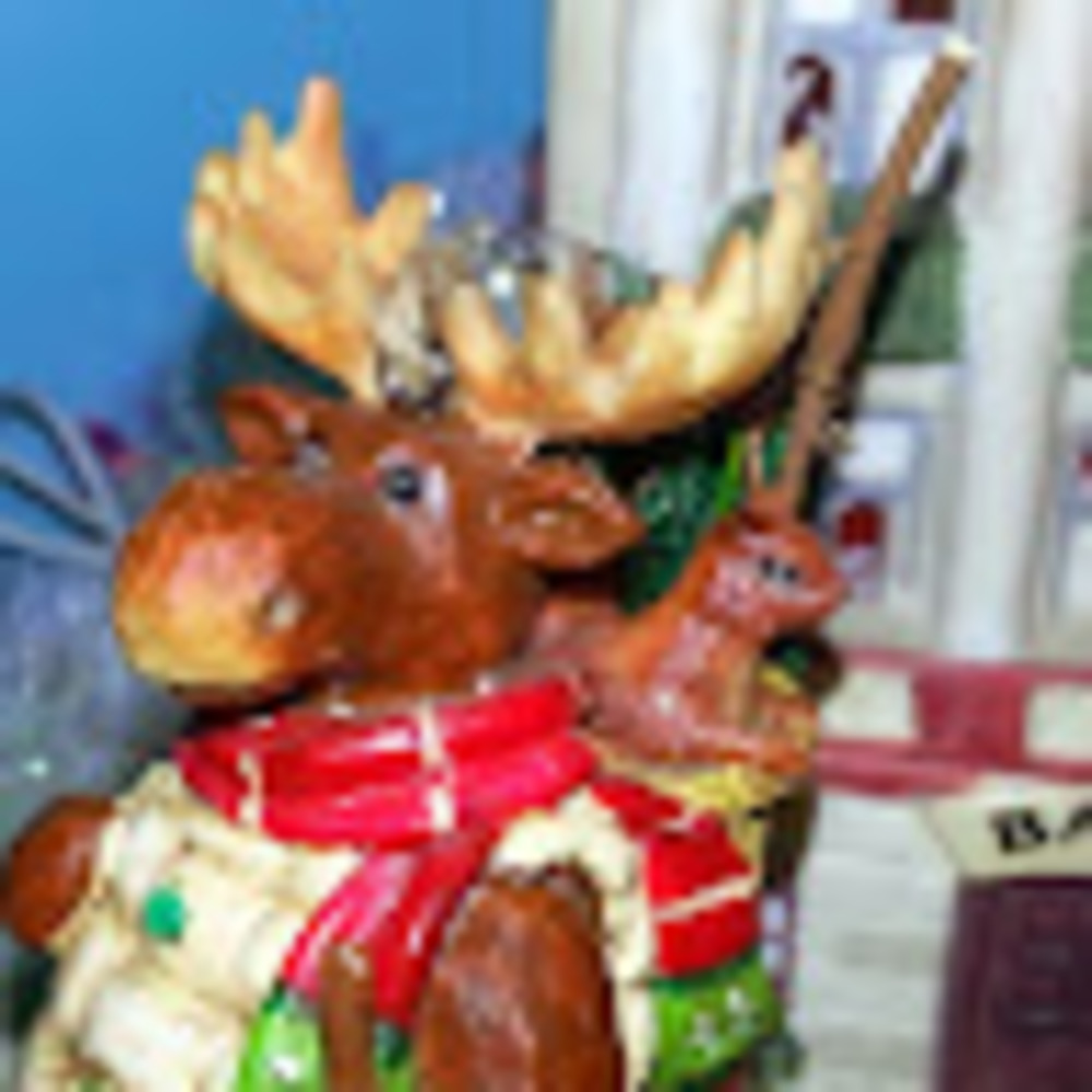 Meet your Posher, Jorge